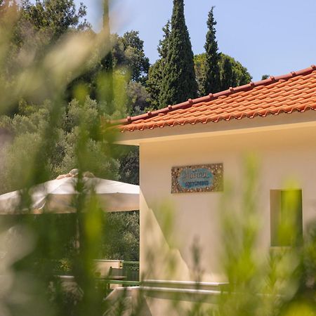 Marina Apartments Kokkari Exterior foto
